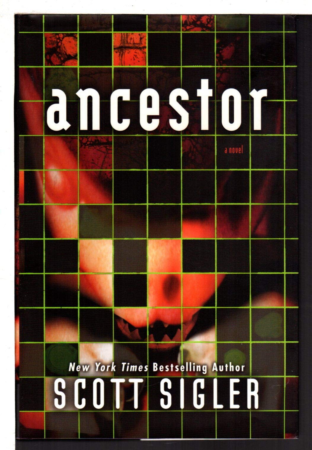 Ancestor: A Novel,Used