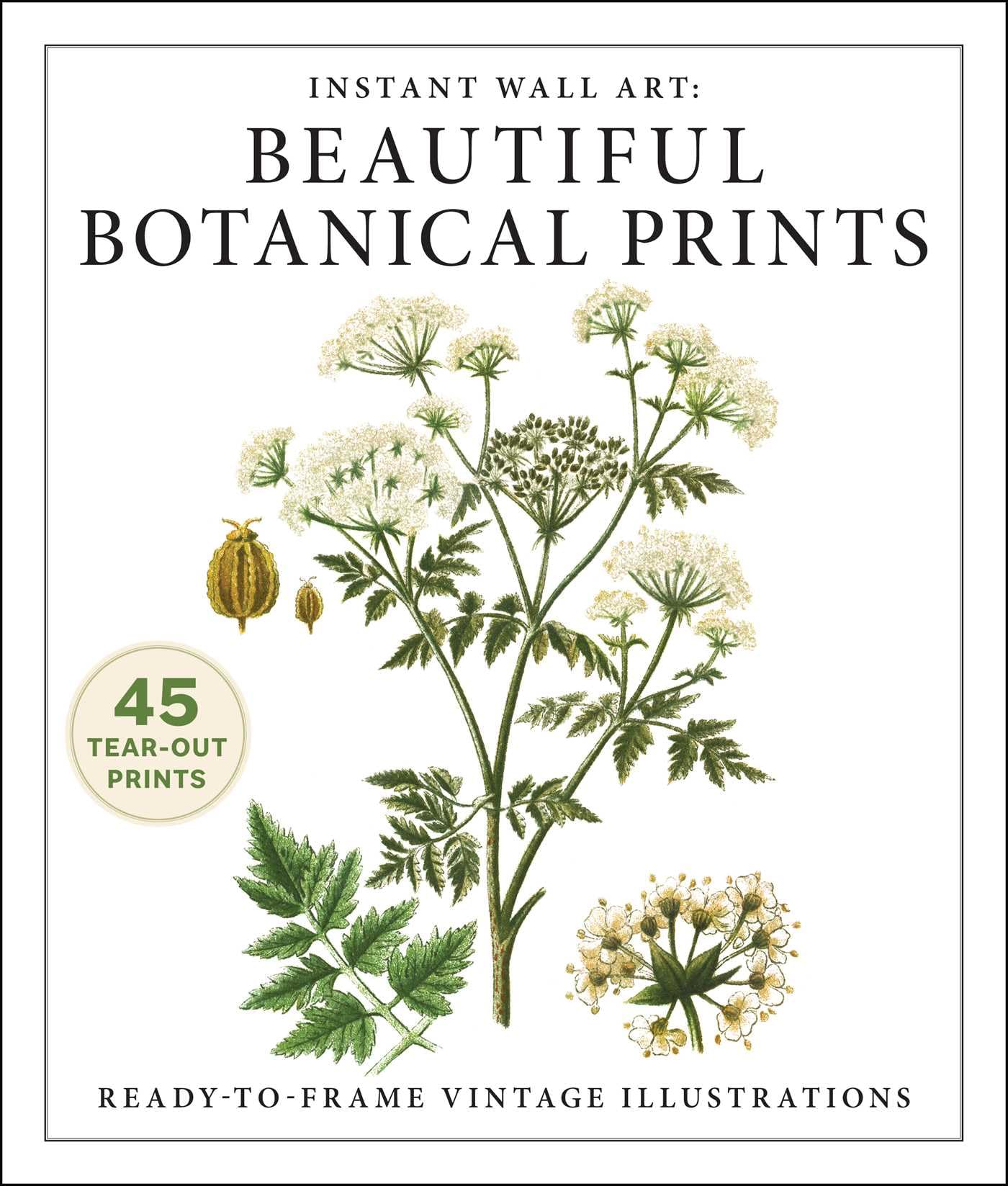 Instant Wall Art: Beautiful Botanical Prints: ReadyToFrame Vintage Illustrations (Home Design And Dcor Gift Series)
