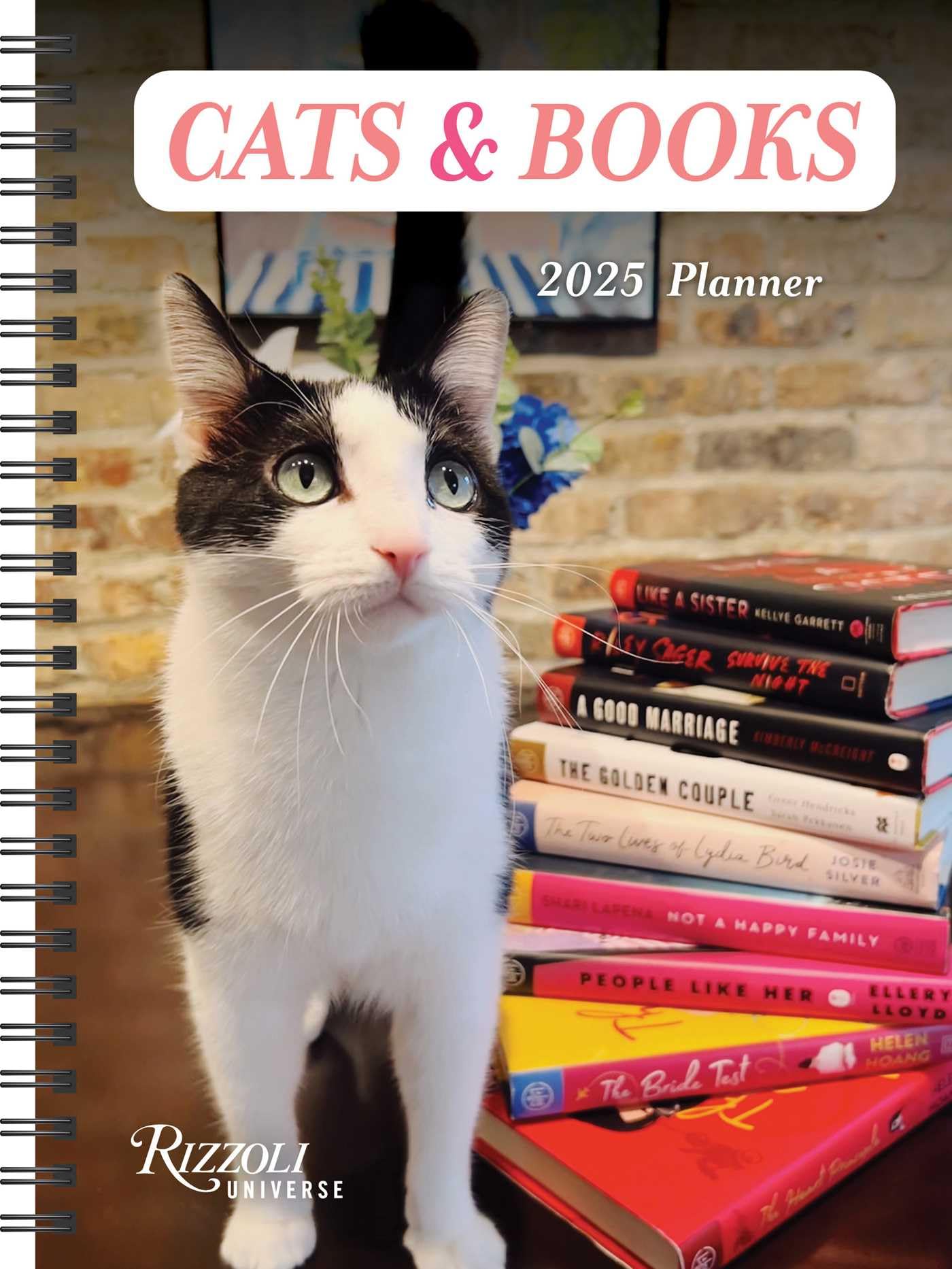 Cats & Books 12Month 2025 Planner Calendar,Used