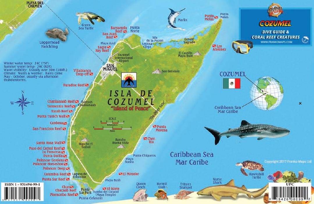 Cozumel Dive Map & Reef Creatures Guide Franko Maps Laminated Fish Card,Used