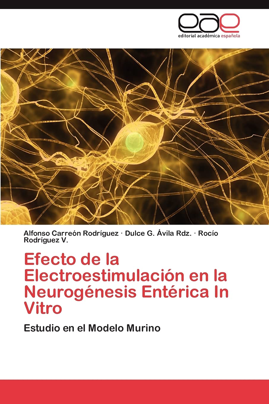 Efecto de la Electroestimulacin en la Neurognesis Entrica In Vitro: Estudio en el Modelo Murino (Spanish Edition),Used