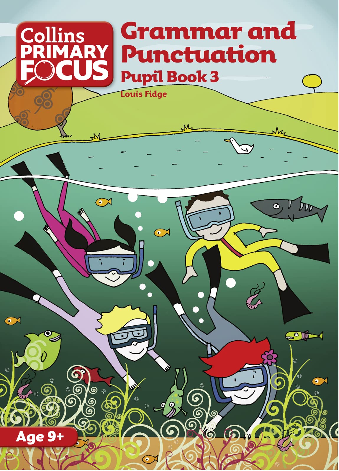 Grammar and Punctuation: Pupil Book 3 (Collins Primary Focus),Used