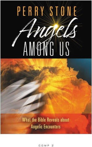 Angels Among Us: What the Bible Reveals about Angelic Encounters,Used