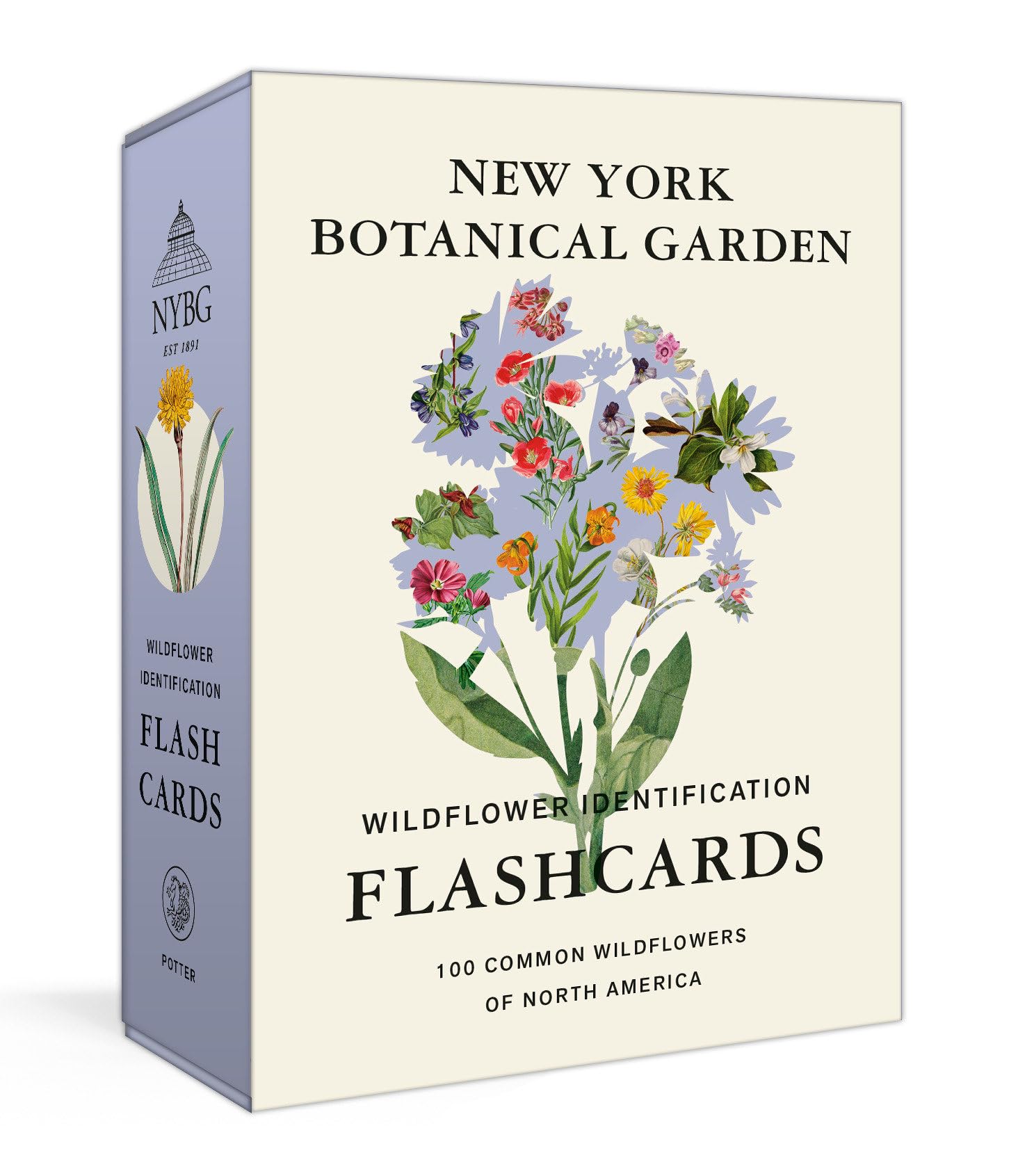 New York Botanical Garden Wildflower Identification Flashcards: 100 Common Wildflowers Of North America,New