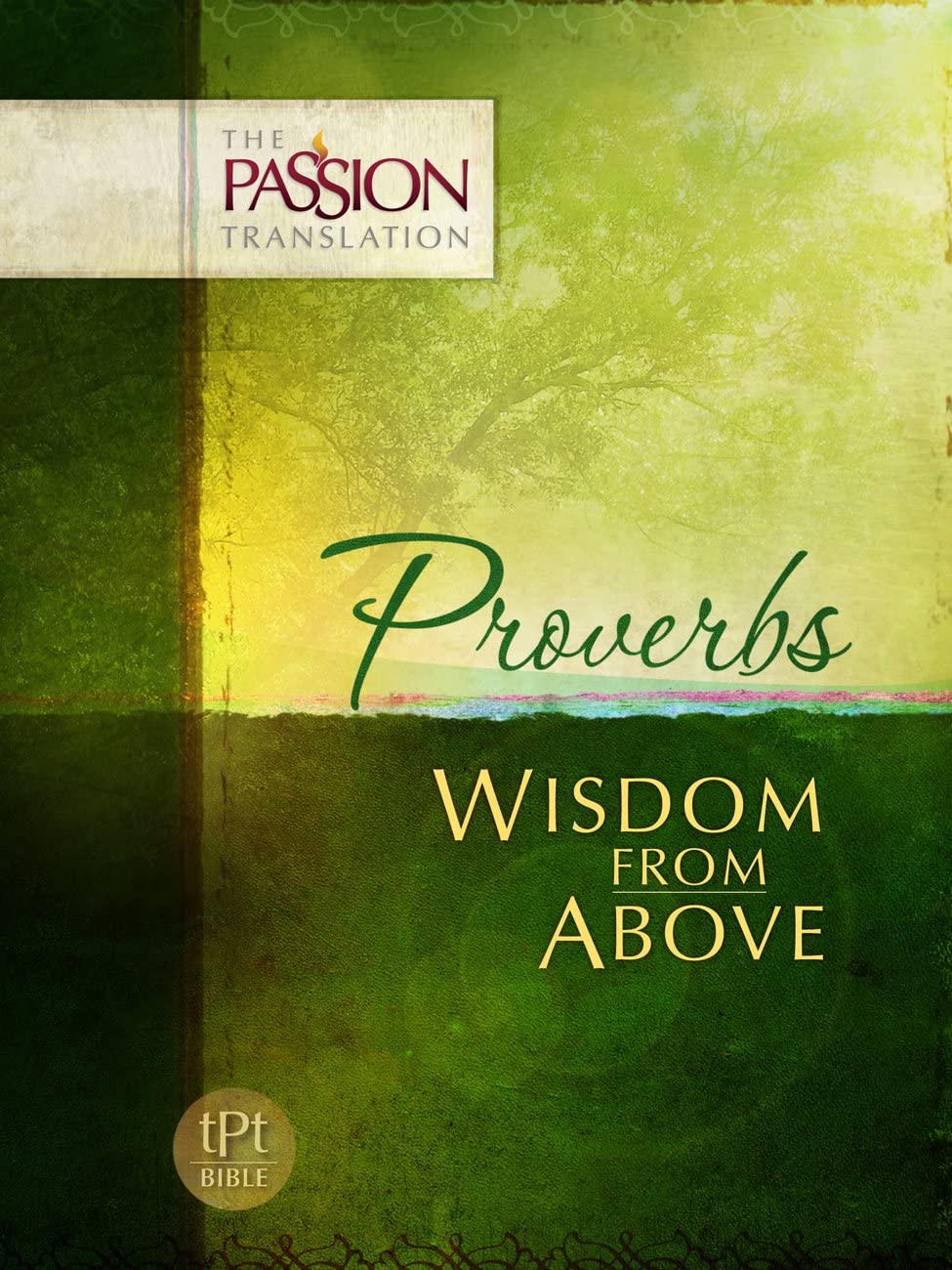 Proverbs: Wisdom from Above (Passion Translation),Used