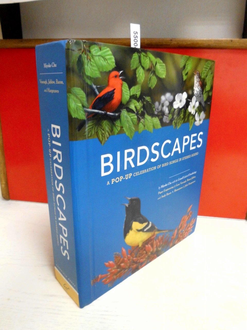 Birdscapes: A PopUp Celebration of Bird Songs in Stereo Sound,Used