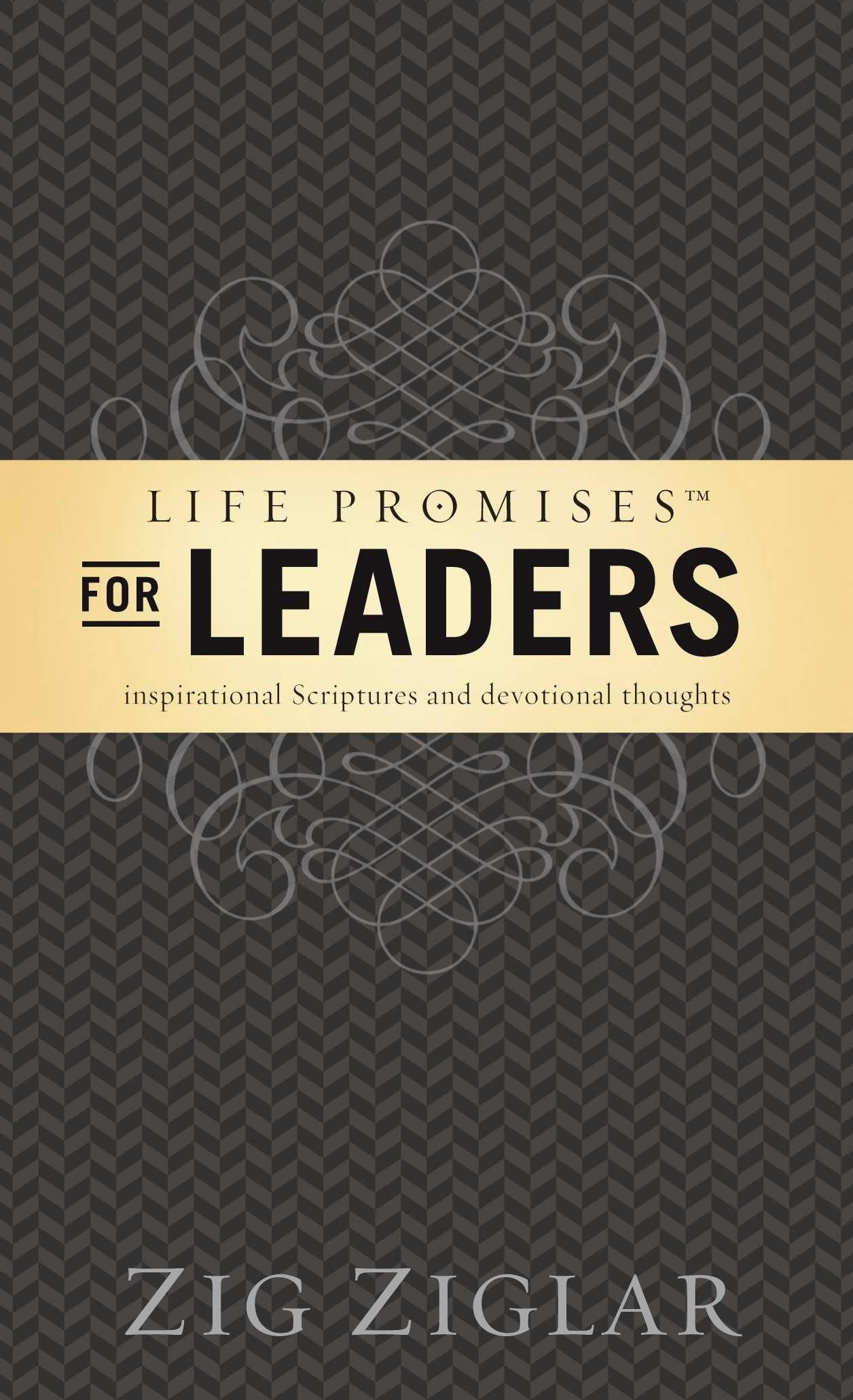 Life Promises for Leaders: Inspirational Scriptures and Devotional Thoughts,Used