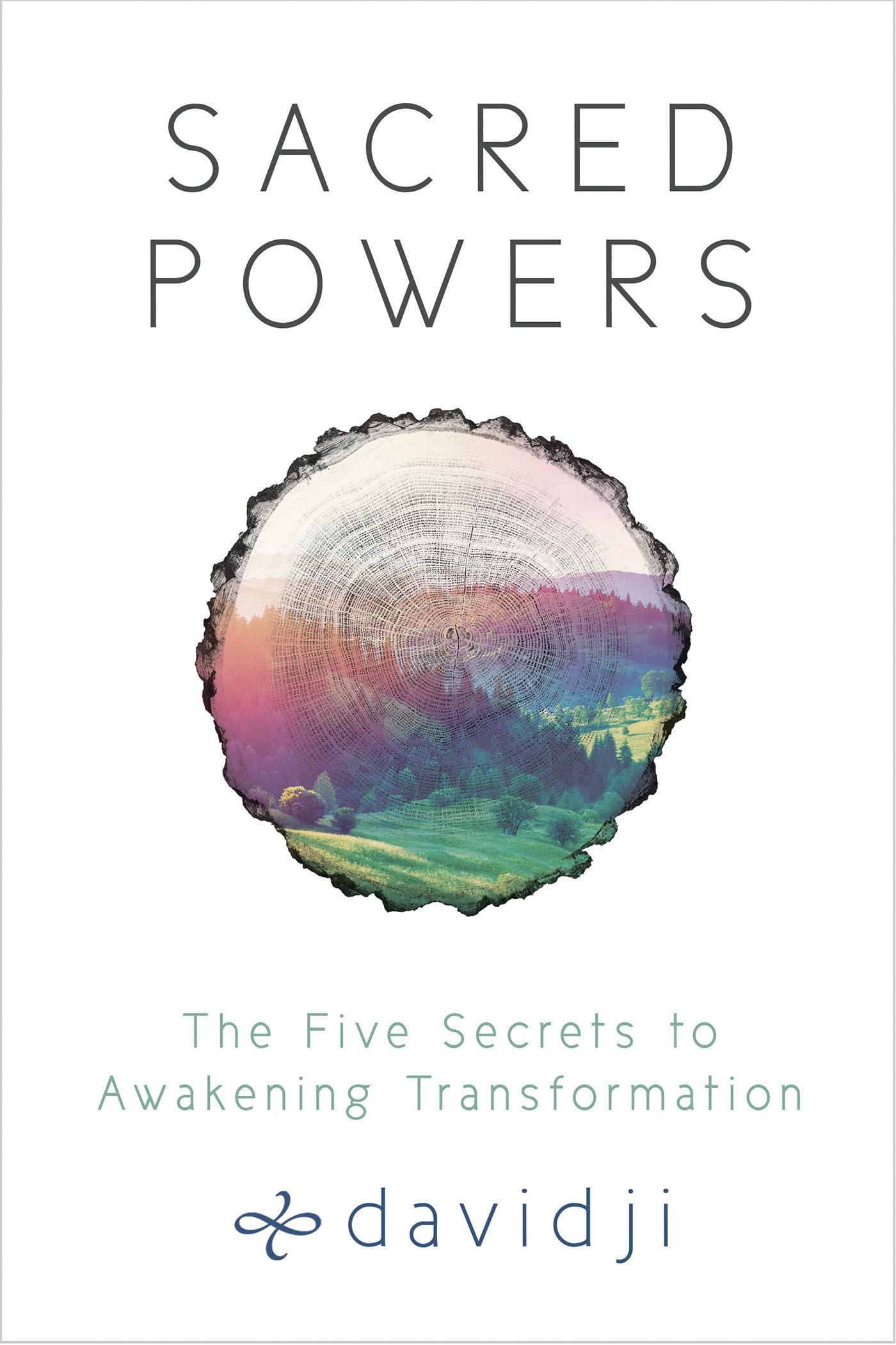 Sacred Powers: The Five Secrets to Awakening Transformation,Used