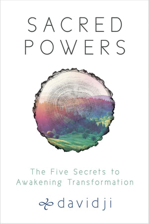 Sacred Powers: The Five Secrets to Awakening Transformation,Used