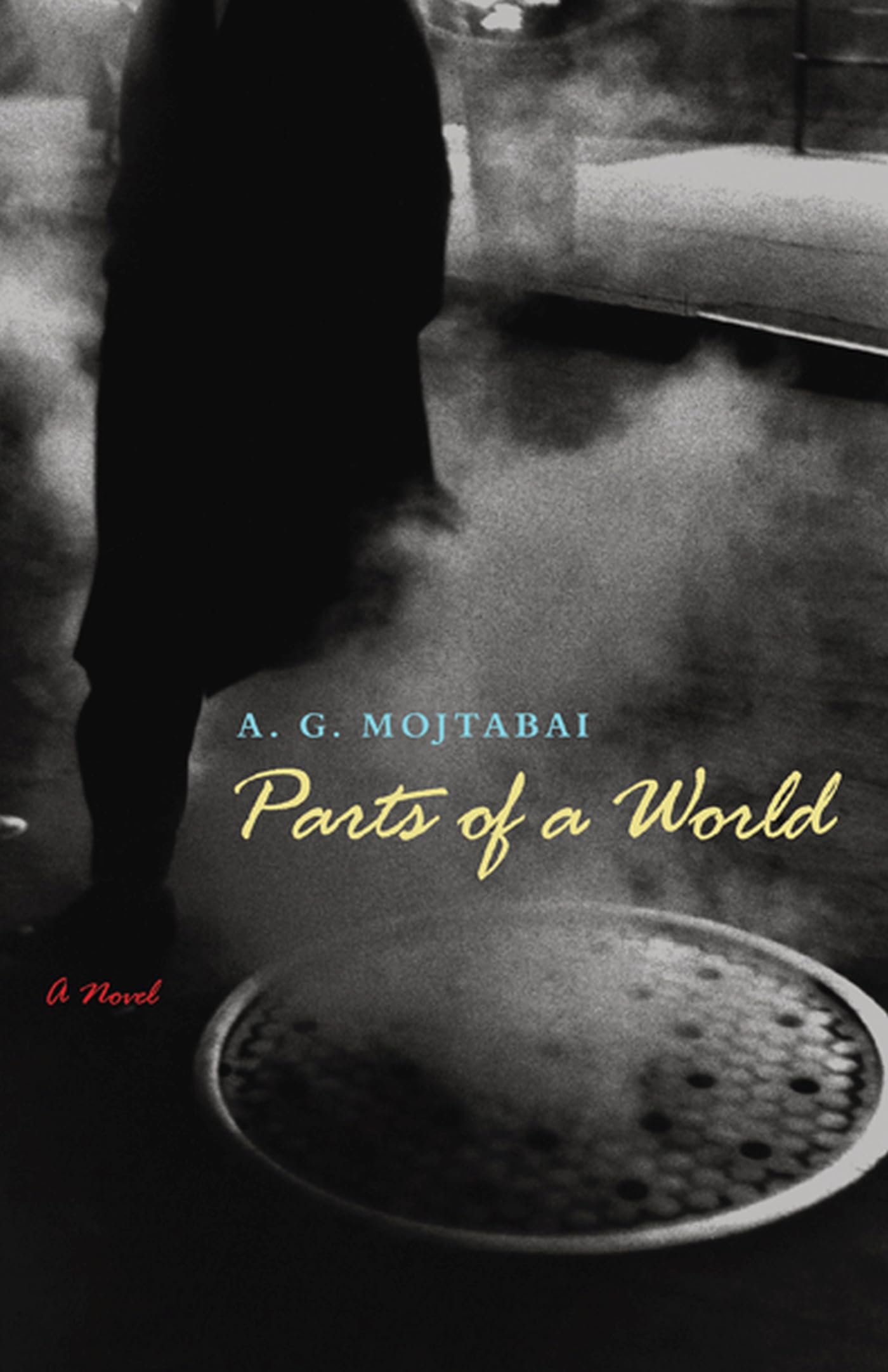 Parts of a World: A Novel (Tdriquarterly Fiction),Used