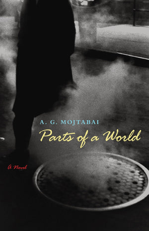 Parts of a World: A Novel (Tdriquarterly Fiction),Used