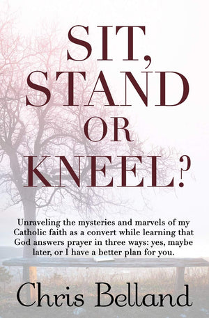 Sit, Stand or Kneel?: Unraveling the mysteries and marvels of my Catholic faith as a convert while learning that God answers pra,Used