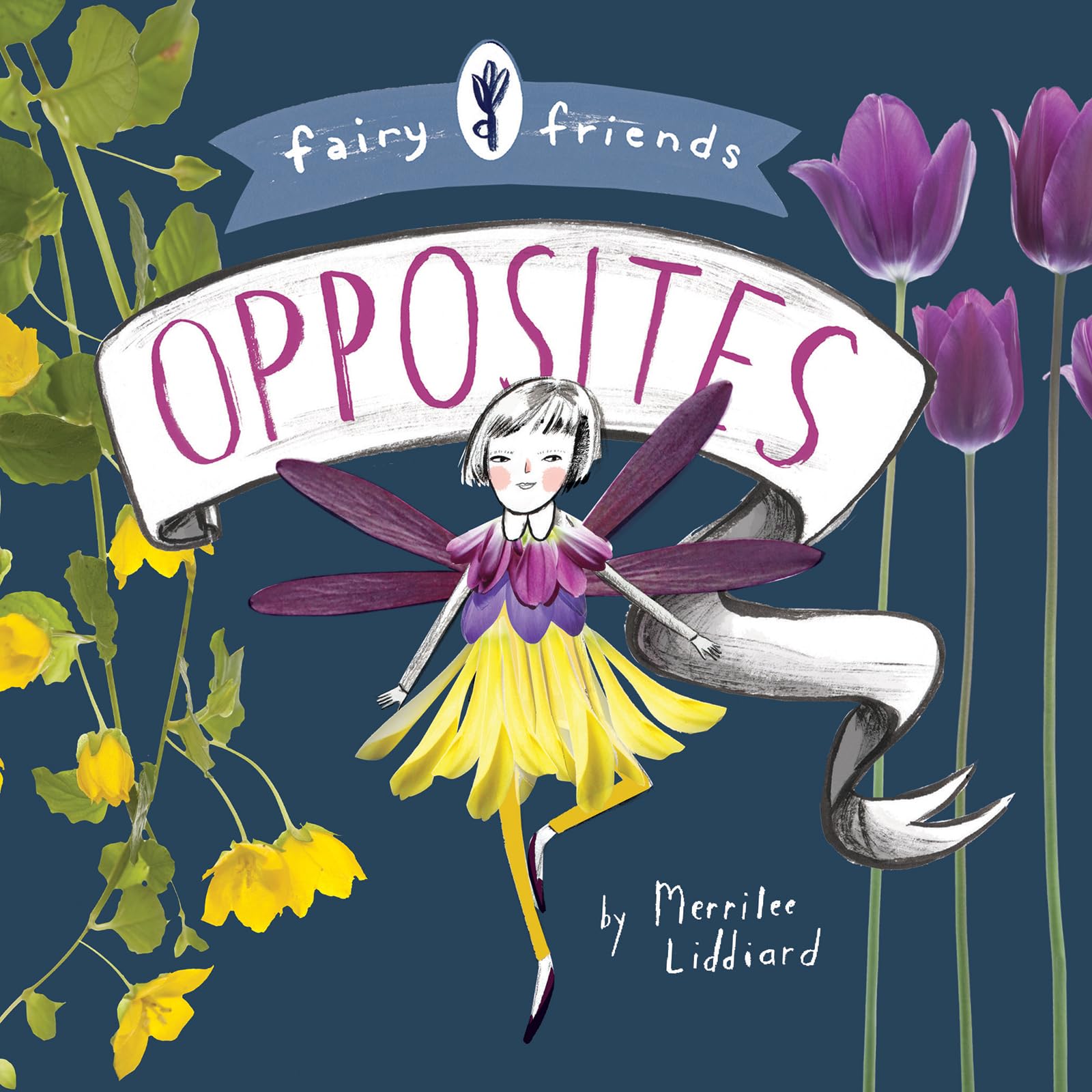 Fairy Friends: An Opposites Primer: An Opposites Primer,Used