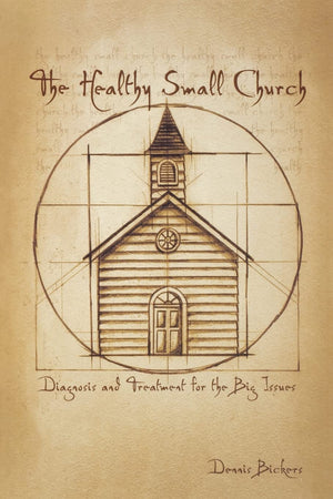 The Healthy Small Church: Diagnosis and Treatment for the Big Issues,Used