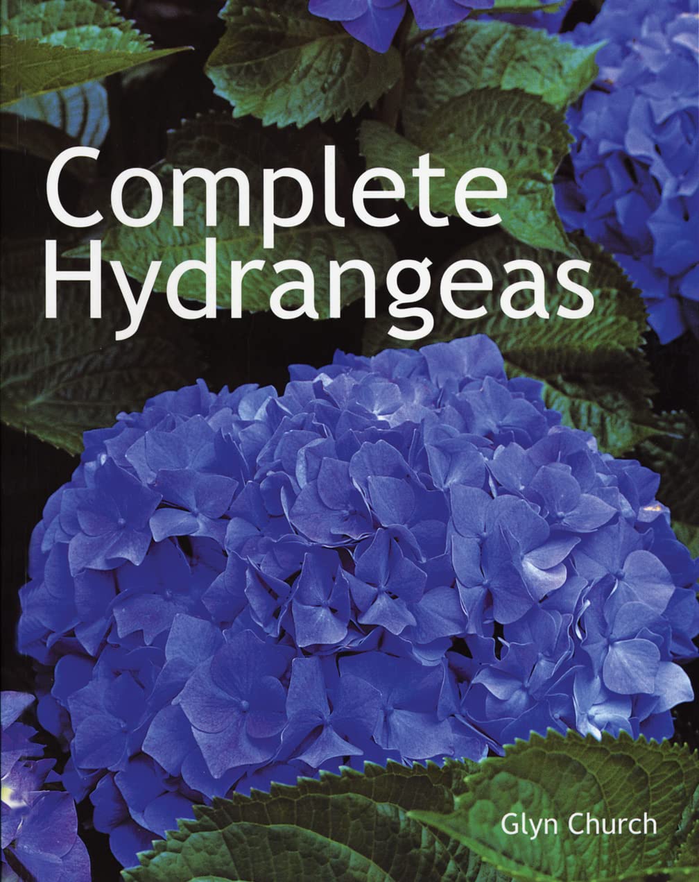 Complete Hydrangeas,Used