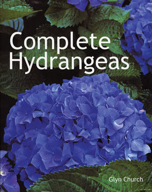 Complete Hydrangeas,Used