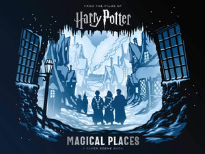Harry Potter: Magical Places: A Paper Scene Book,Used