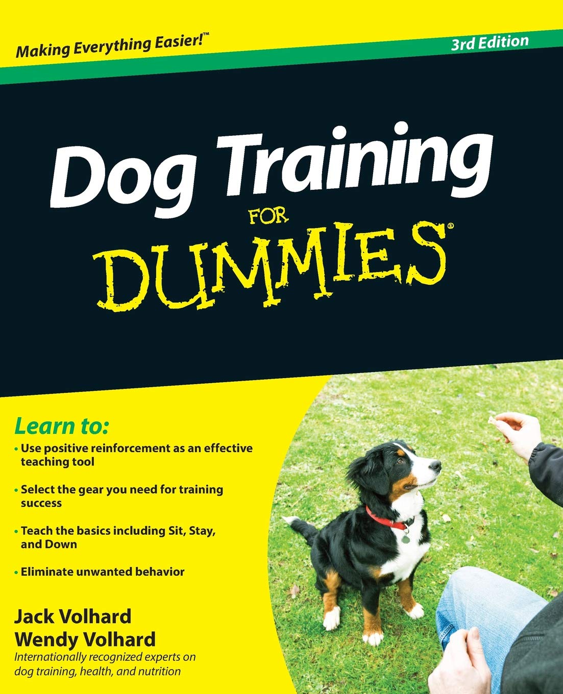 Dog Training For Dummies-used