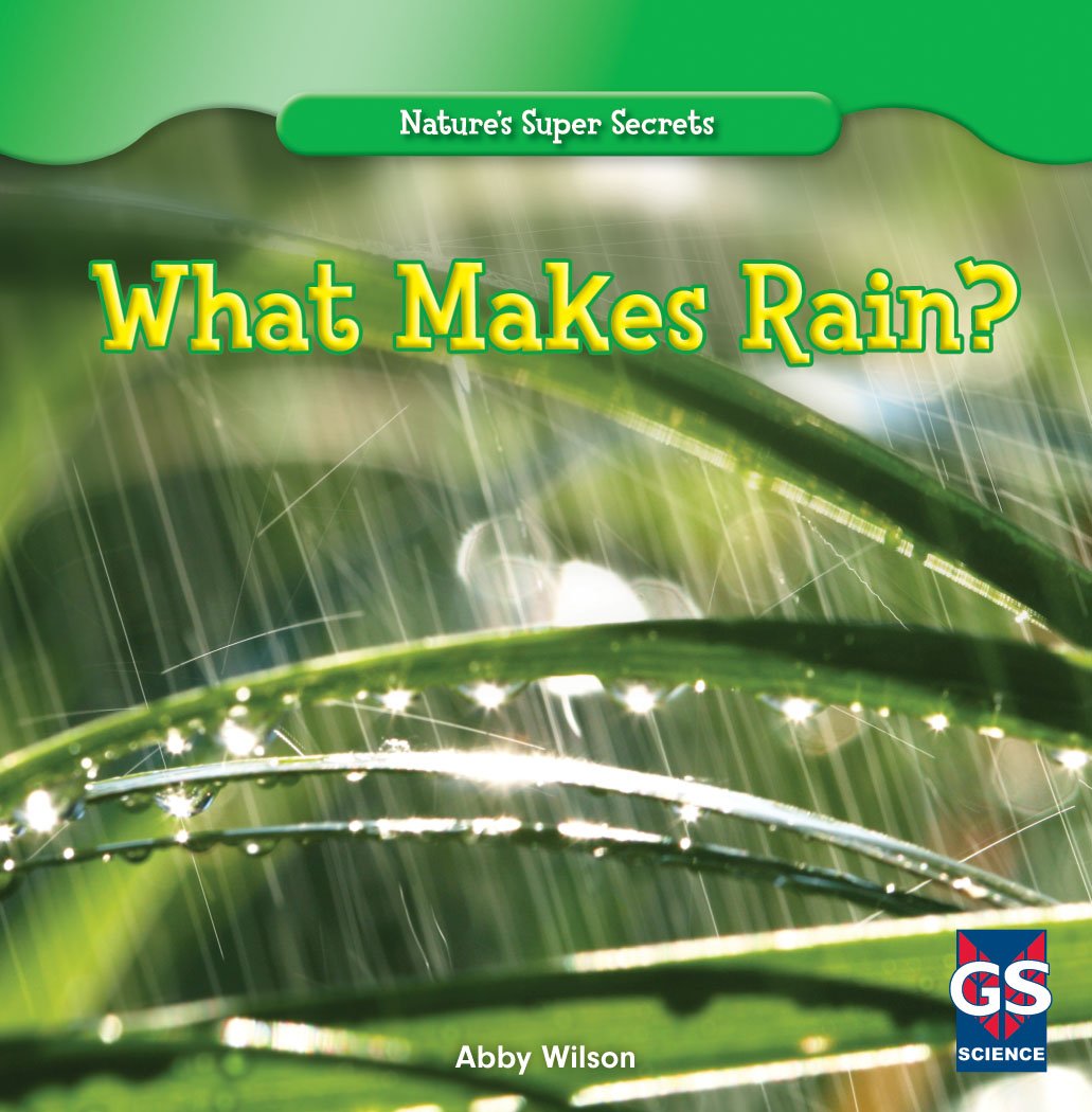 What Makes Rain? (Nature's Super Secrets),Used