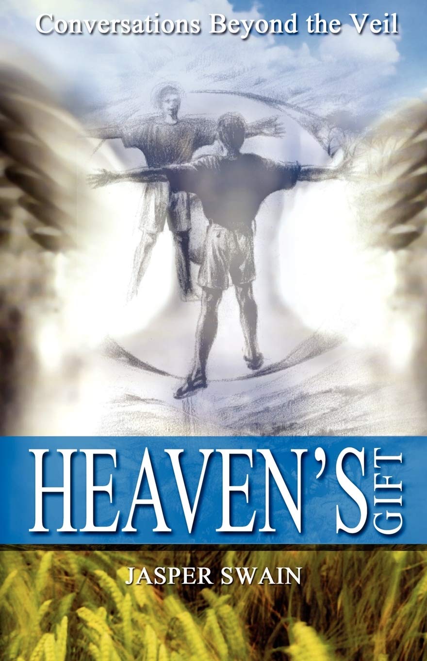 Heaven's Gift: Conversations Beyond the Veil,Used