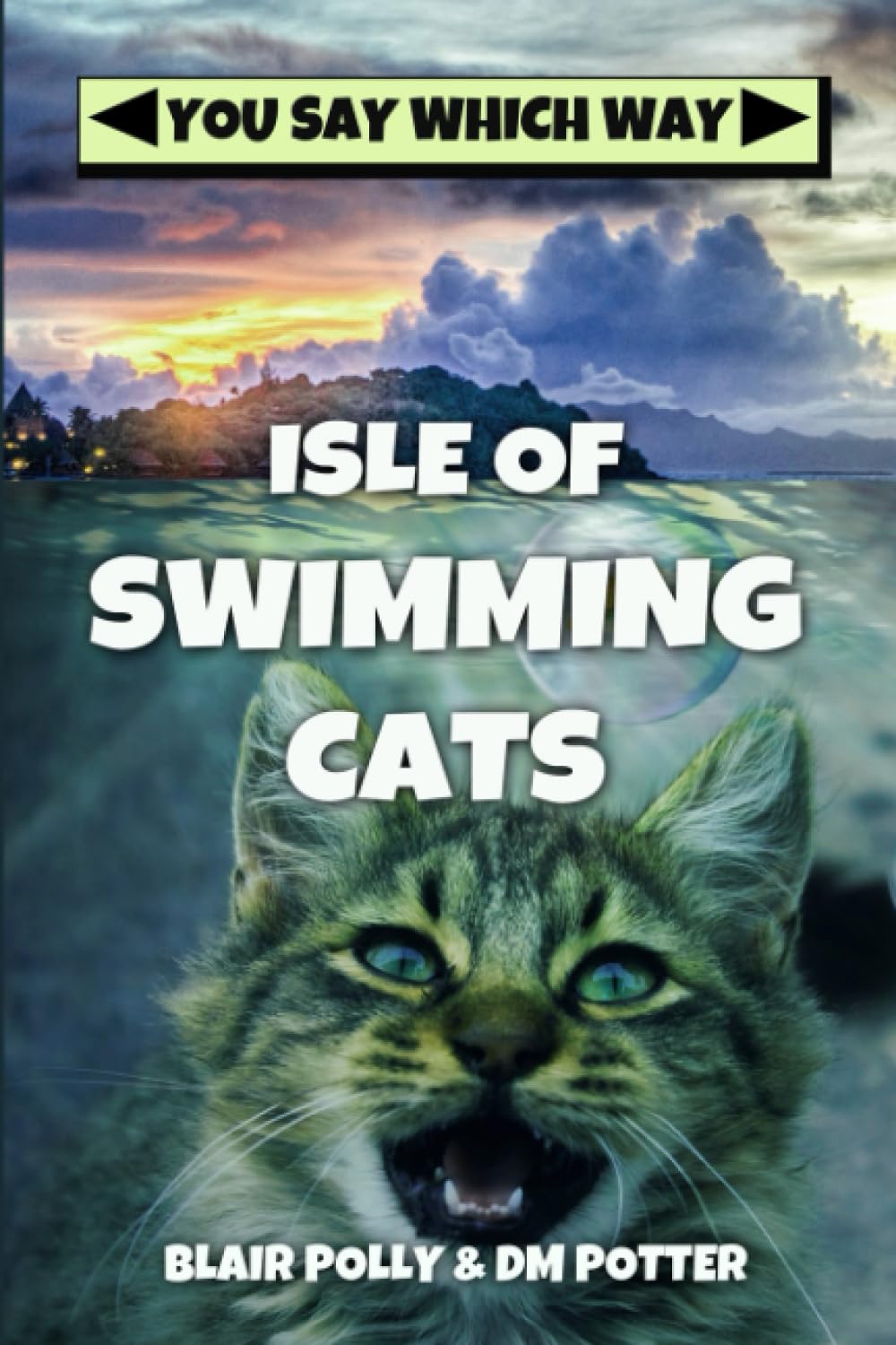 Isle of Swimming Cats (You Say Which Way),Used