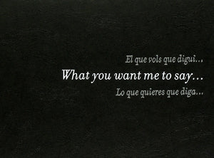 Douglas Gordon: What You Want Me to Say...I'm Already Dead (English, Catalan and Spanish Edition),Used