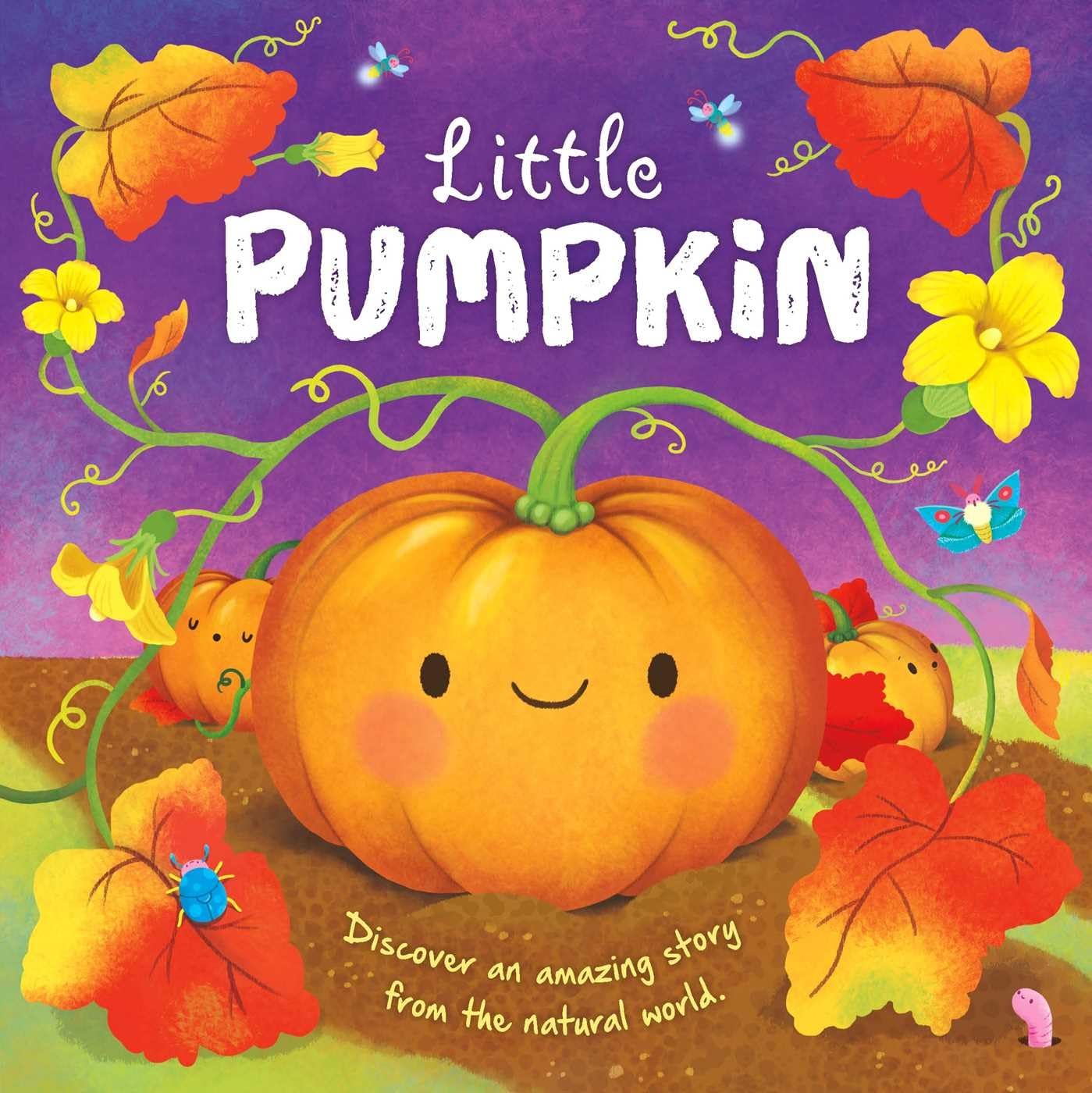 Nature Stories: Little PumpkinDiscover an Amazing Story from the Natural World: Padded Board Book,Used