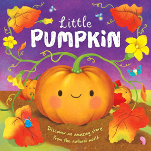 Nature Stories: Little PumpkinDiscover an Amazing Story from the Natural World: Padded Board Book,Used