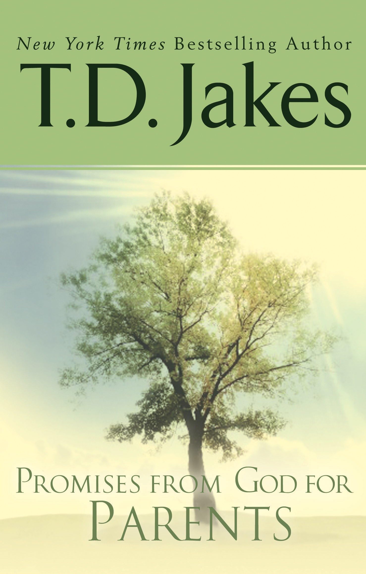Promises From God For Parents,Used