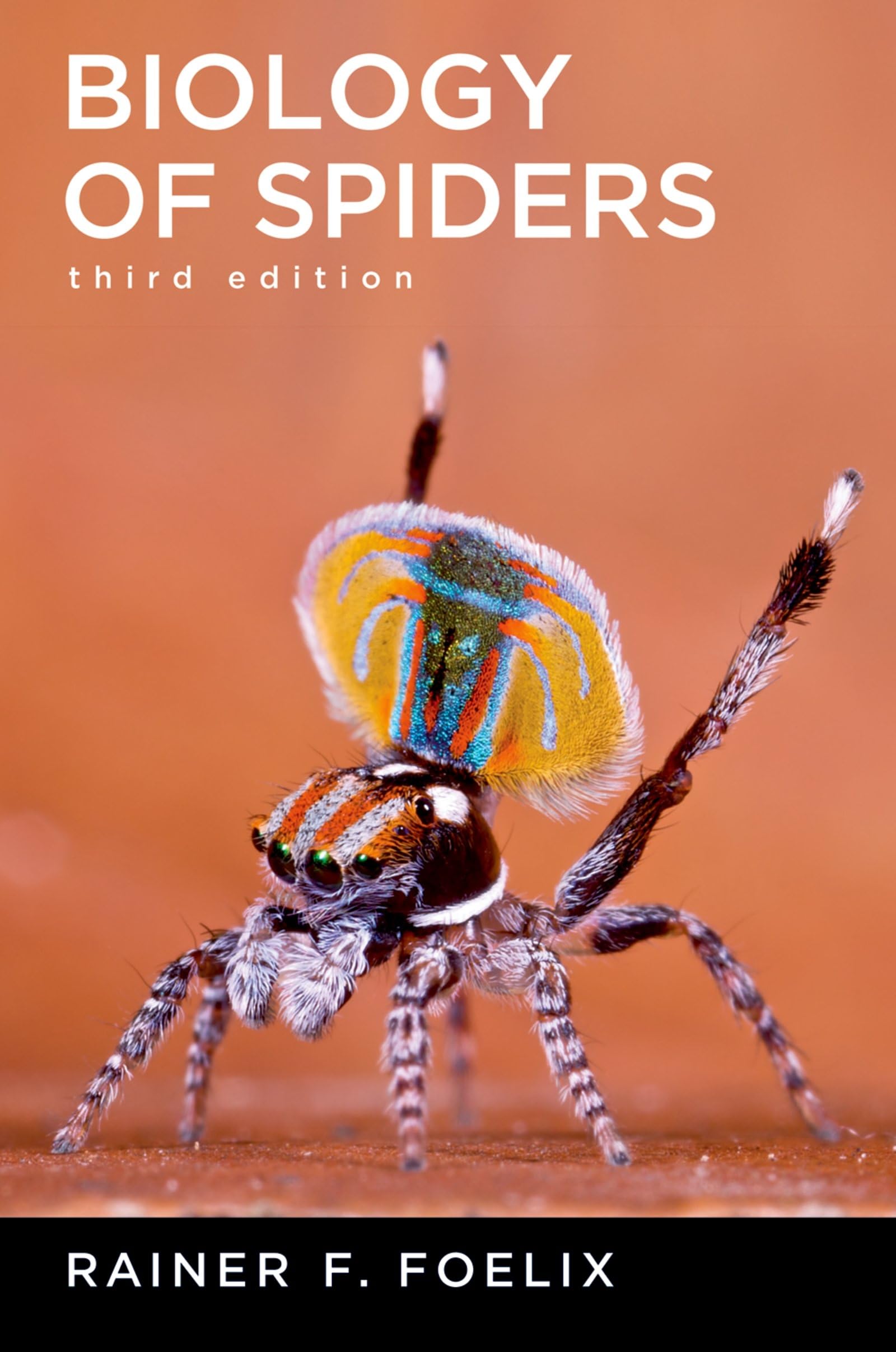Biology of Spiders,Used