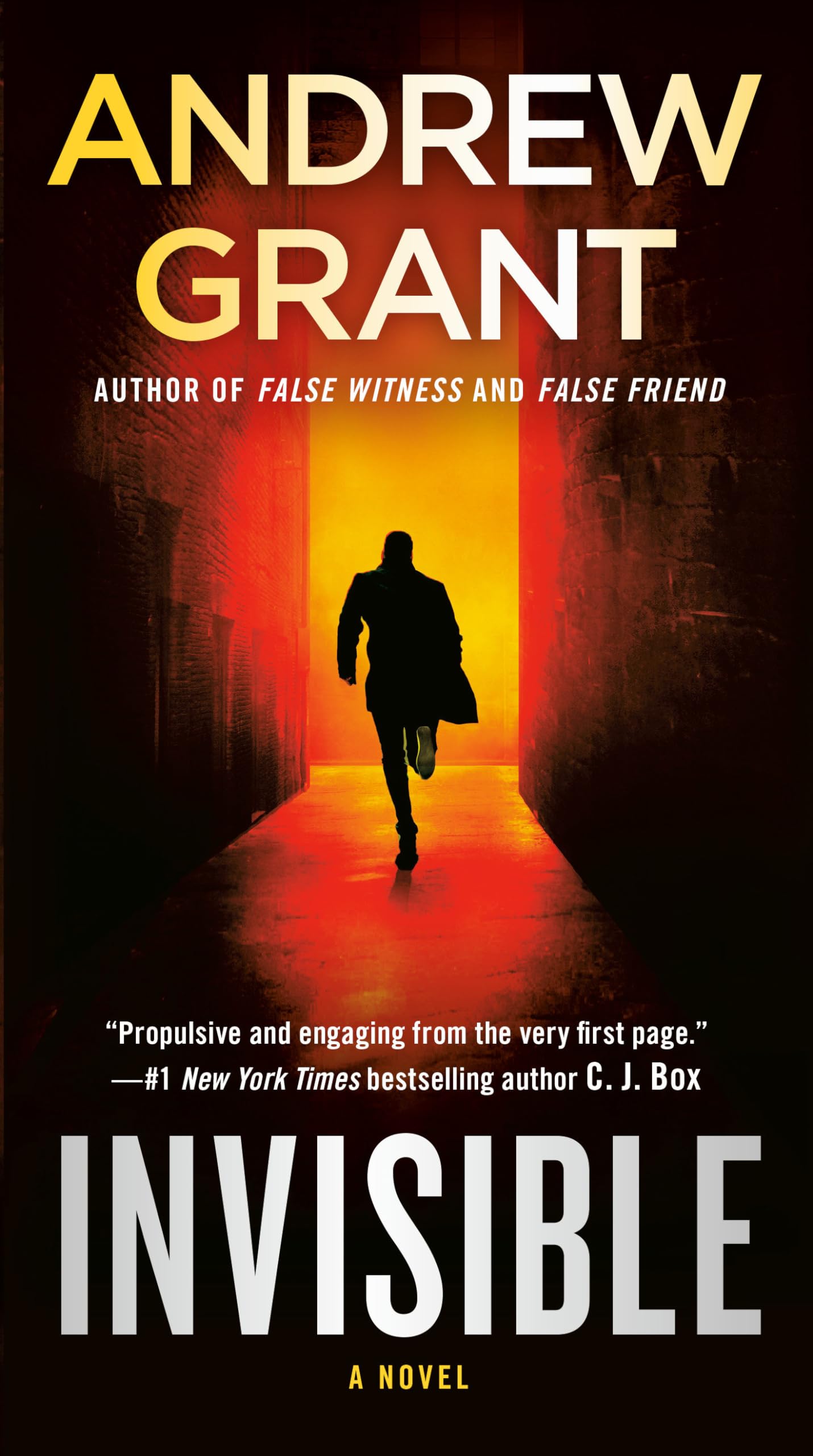 Invisible: A Novel (Paul McGrath),Used