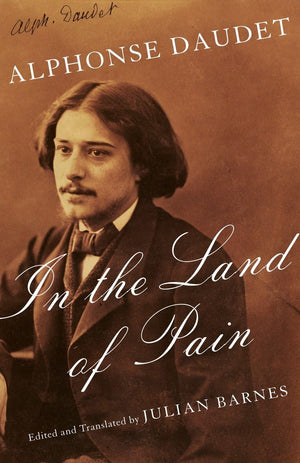 In the Land of Pain (Vintage Classics),Used