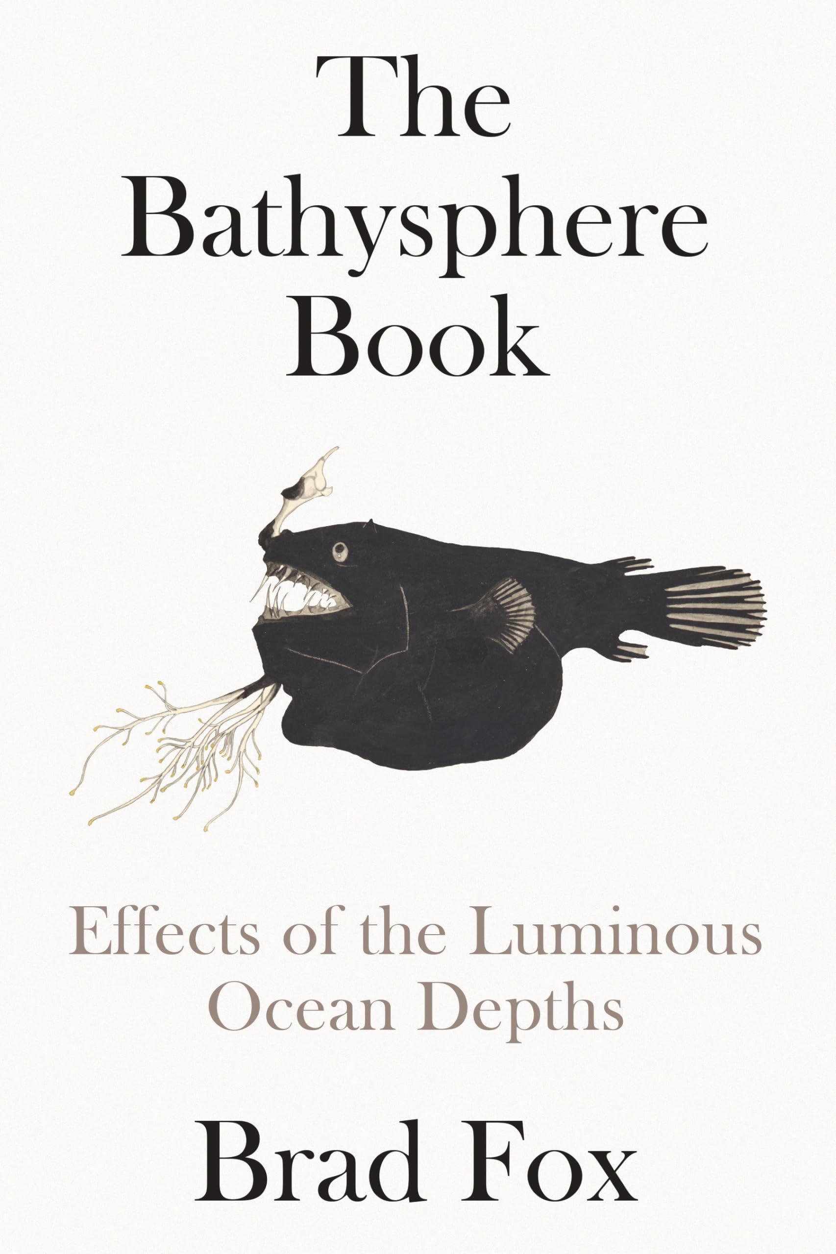 The Bathysphere Book: Effects Of The Luminous Ocean Depths,Used