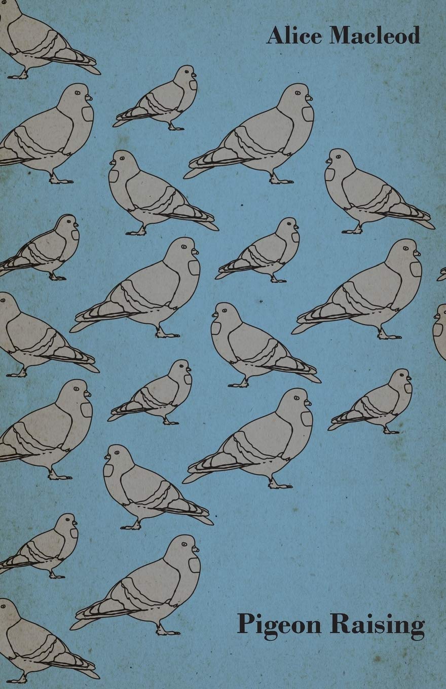 Pigeon Raising,Used