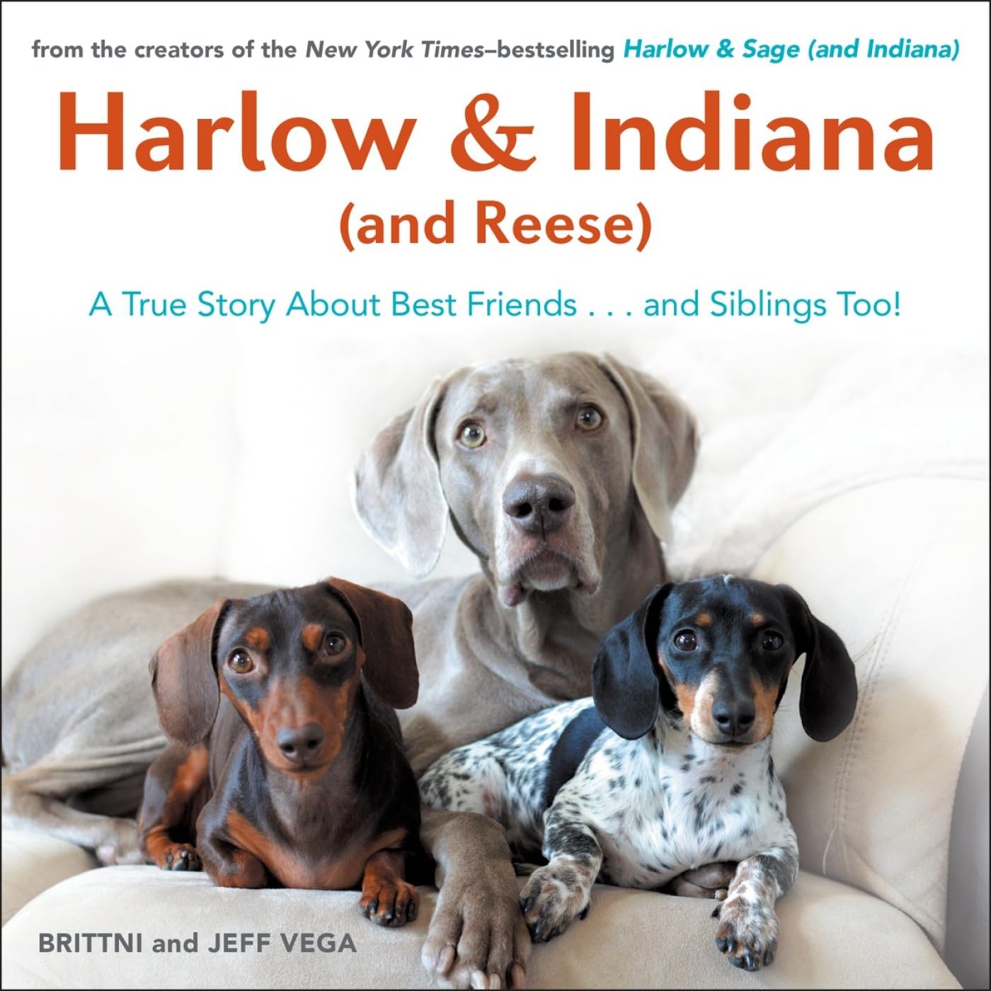 Harlow & Indiana (and Reese): A True Story About Best Friends...and Siblings Too!,Used