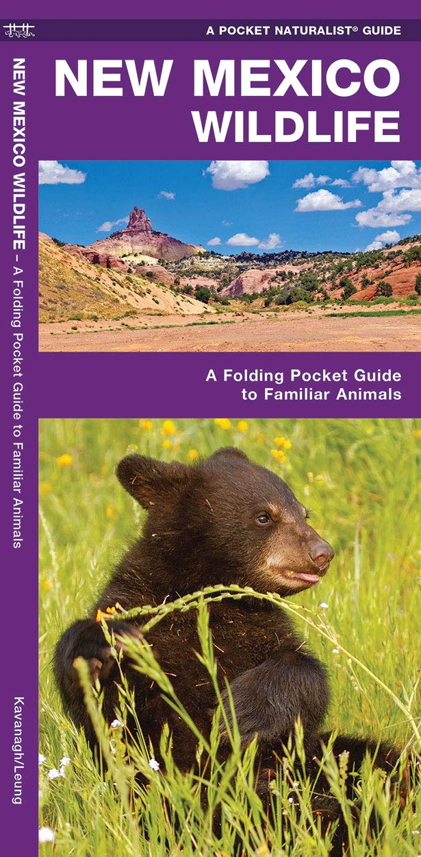 New Mexico Wildlife: A Folding Pocket Guide to Familiar Animals (Wildlife and Nature Identification),Used