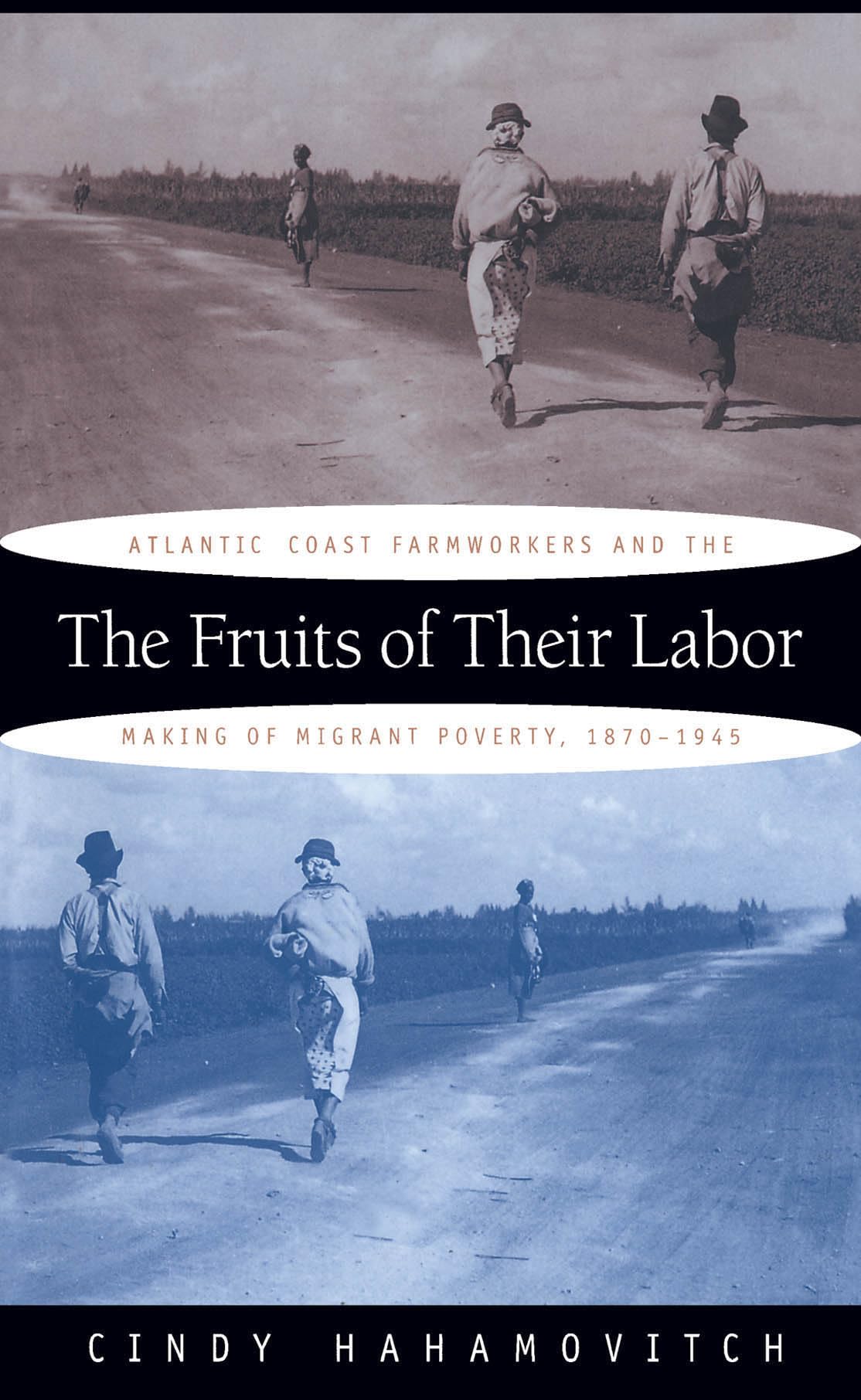 The Fruits of Their Labor: Atlantic Coast Farmworkers and the Making of Migrant Poverty, 18701945,New