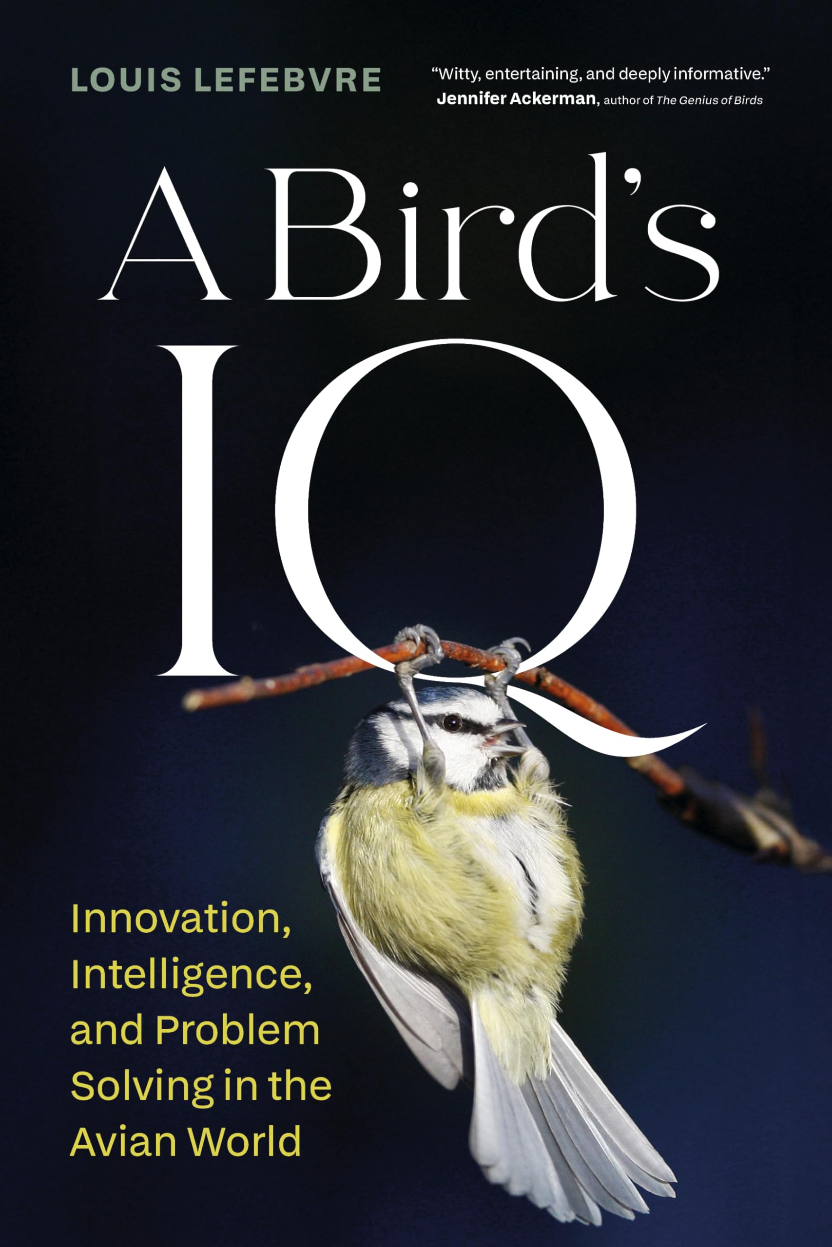 A BirdS Iq: Innovation, Intelligence, And Problem Solving In The Avian World