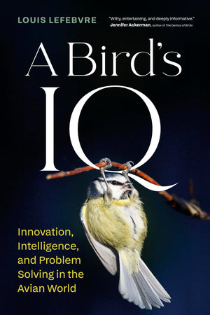 A BirdS Iq: Innovation, Intelligence, And Problem Solving In The Avian World