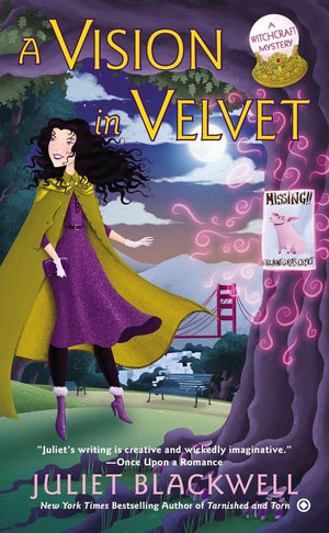 A Vision in Velvet (Witchcraft Mystery),Used