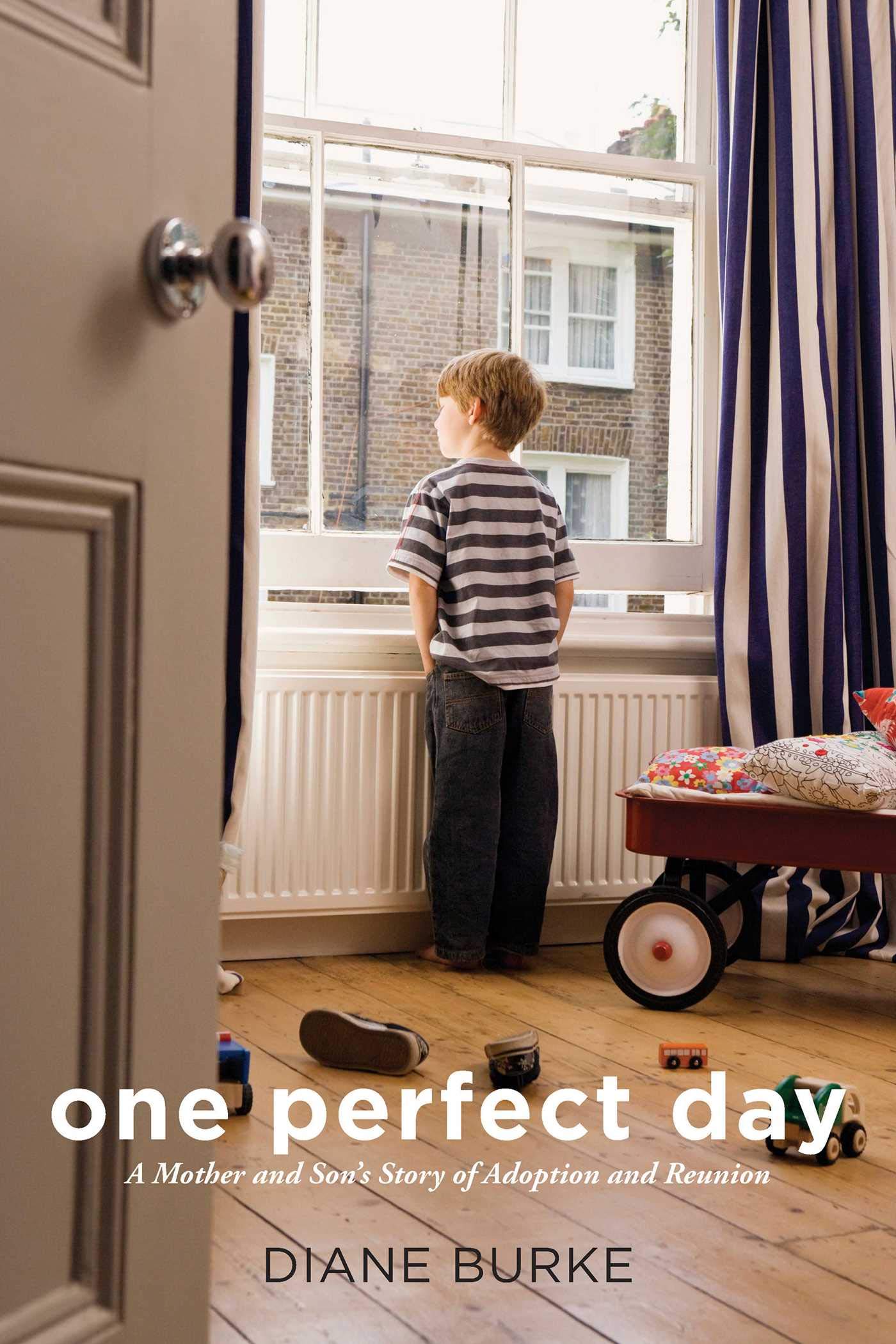 One Perfect Day: A Mother and Son's Story of Adoption and Reunion,Used