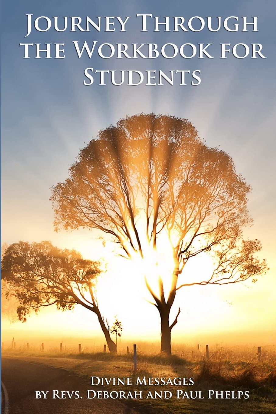 Divine Messages: A Journey Through the Workbook for Students in A Course in Miracles,Used