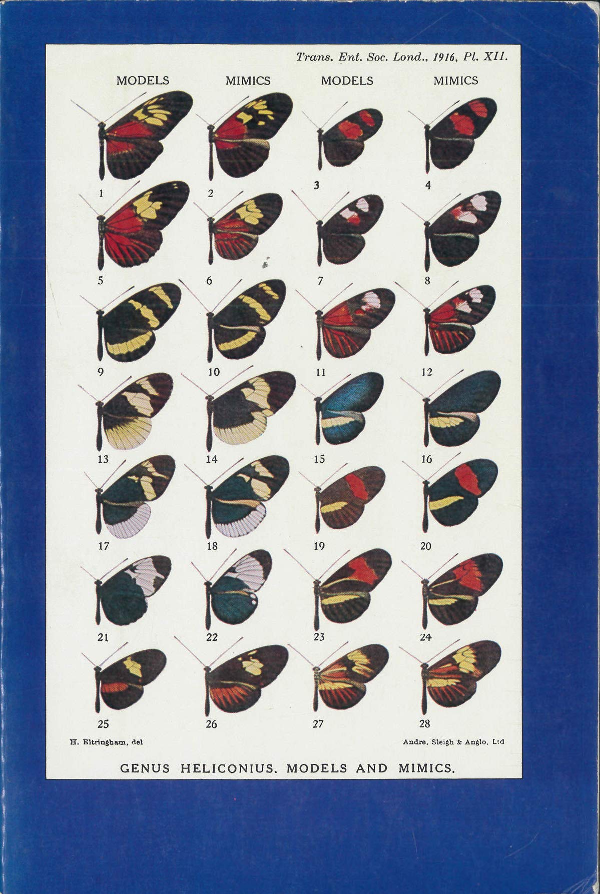 Coevolution,Used