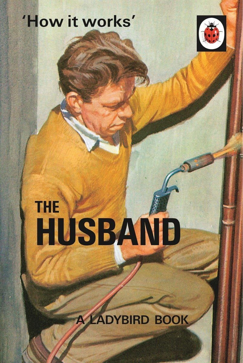 How it Works: The Husband (Ladybirds for GrownUps),Used
