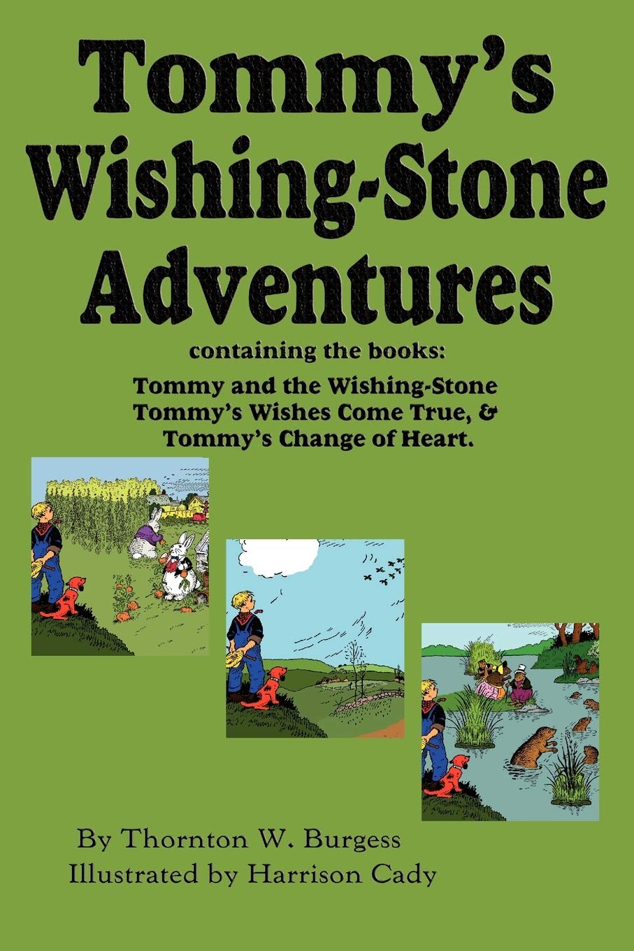 Tommy's WishingStone AdventuresThe Wishing Stone,Wishes Come True, Change of Heart,Used