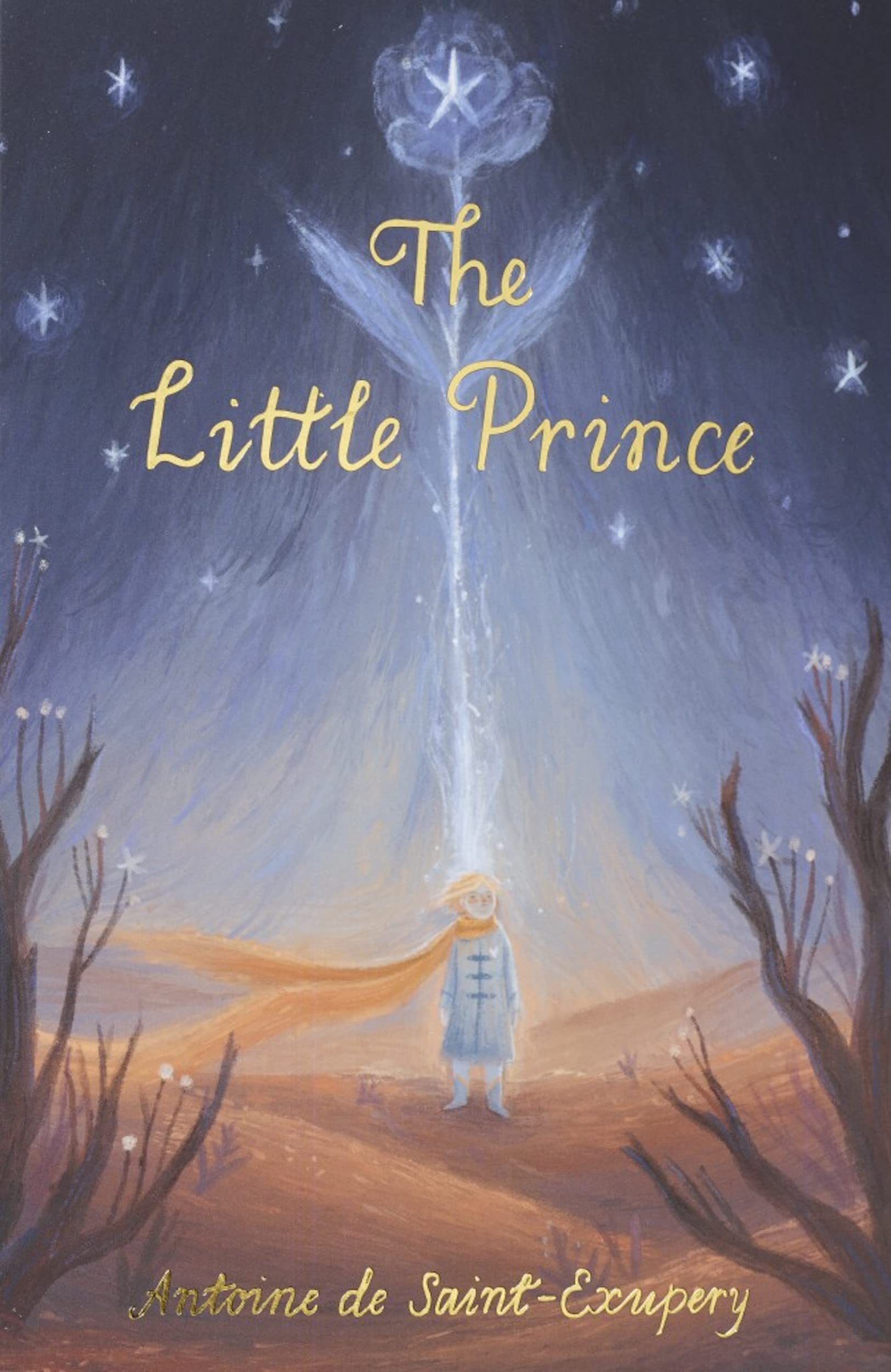 The Little Prince (Wordsworth Children'S Classics)