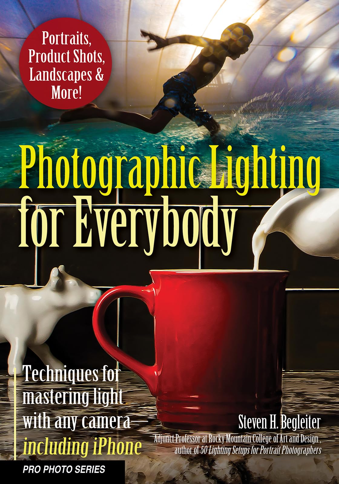 Photographic Lighting for Everybody: Techniques for Mastering Light with Any CameraIncluding iPhone (Pro Photo Series),Used
