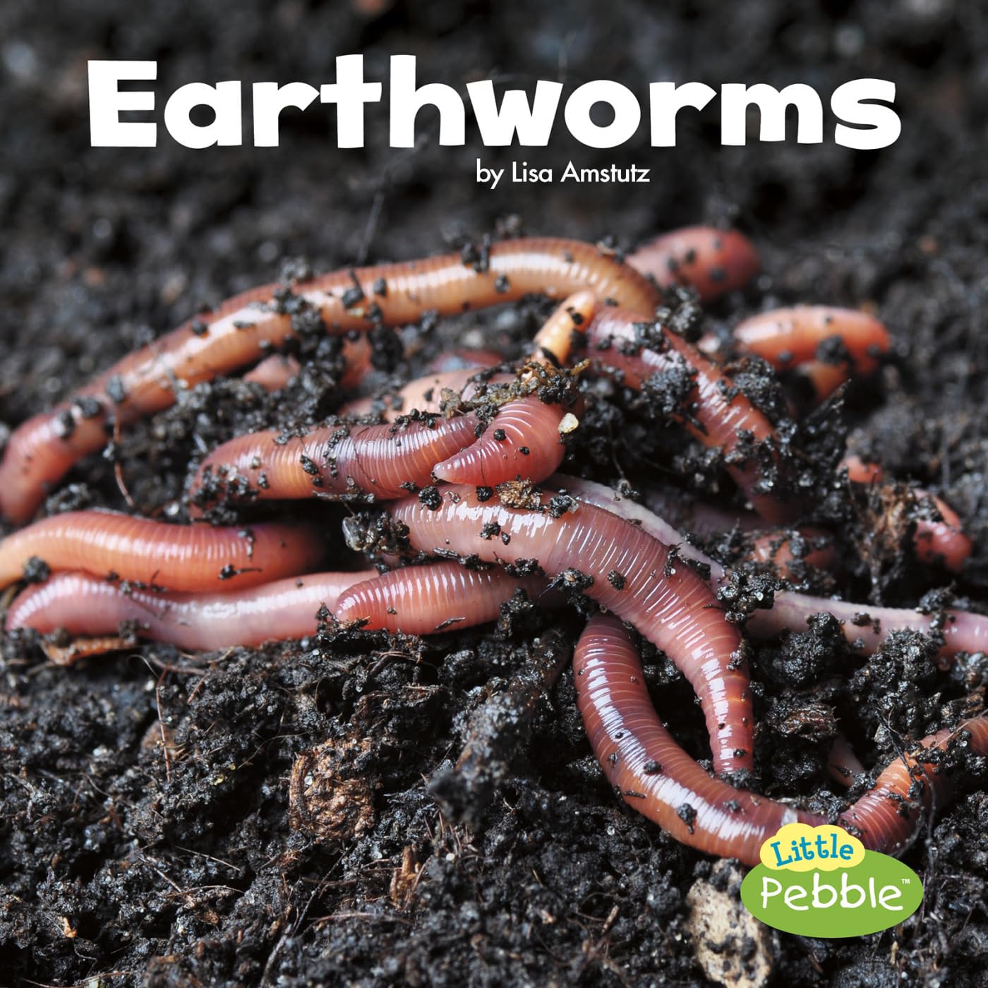Earthworms (Little Critters),Used