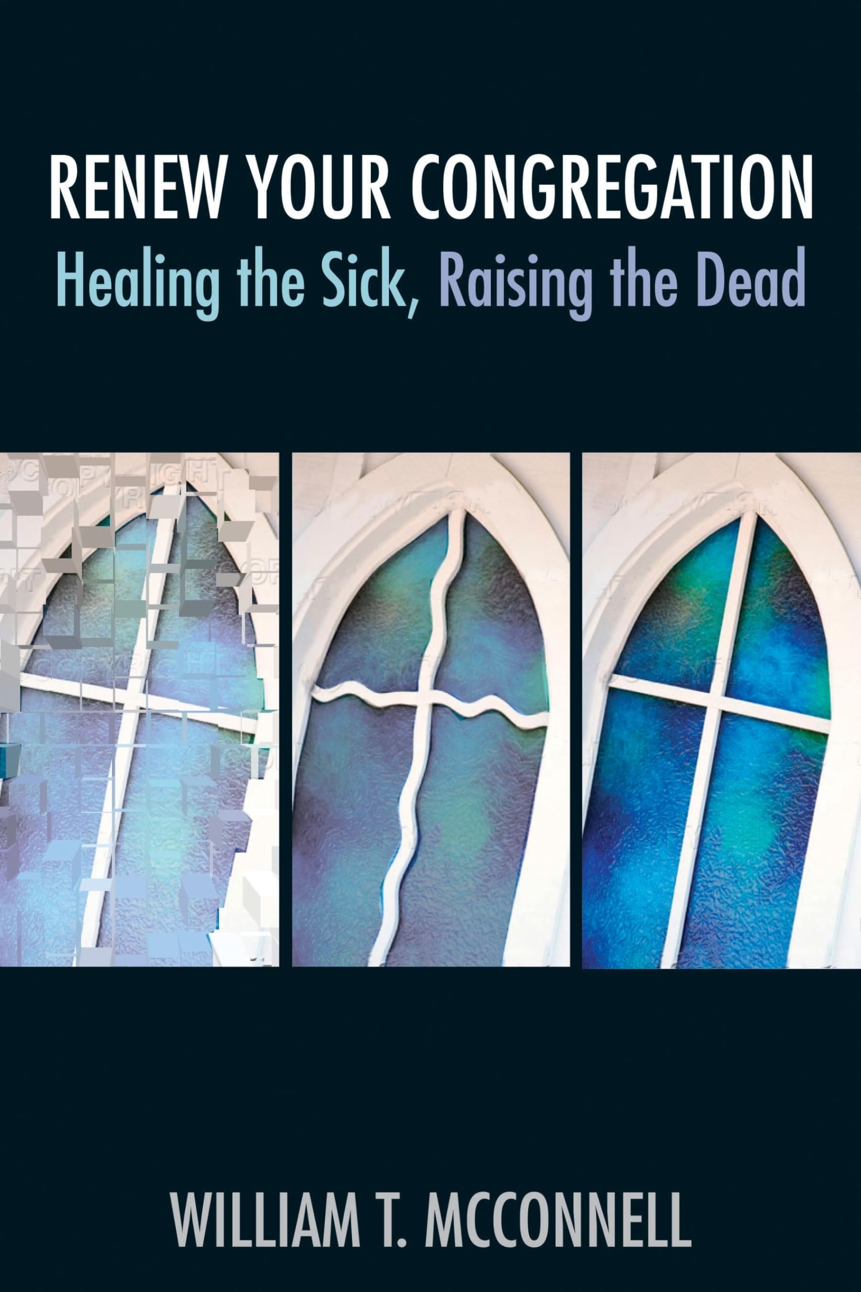 Renew Your Congregation: Healing the Sick, Raising the Dead (TCP Leadership Series),Used
