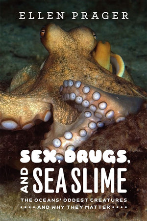 Sex, Drugs, And Sea Slime: The Oceans' Oddest Creatures And Why They Matter